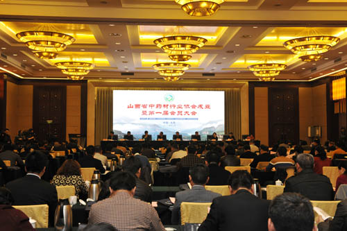 山西省中药材行业协会 304am永利集团总裁李安平 304am永利集团 山西省中药材行业协会 304am永利集团总裁李安平 304am永利集团