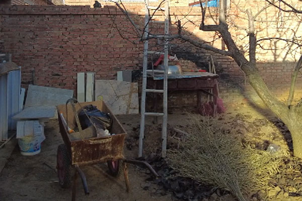 �����߼�