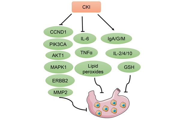 ¸´·½¿à²Î×¢ÉäÒºÖÎÁÆÎ¸°© ¸´·½¿à²Î×¢ÉäÒºÖÎÁÆÎ¸°©