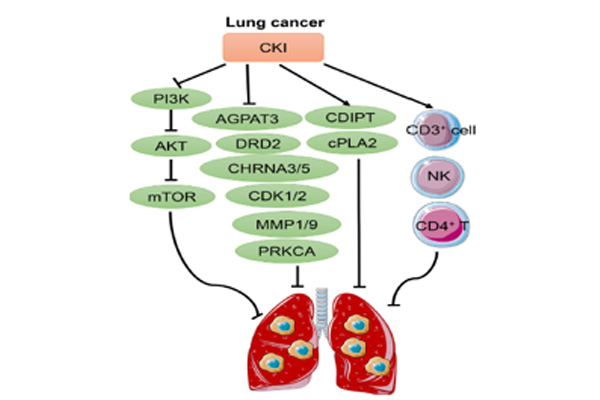 ¸´·½¿à²Î×¢ÉäÒºÖÎÁƷΰ© ¸´·½¿à²Î×¢ÉäÒºÖÎÁƷΰ©