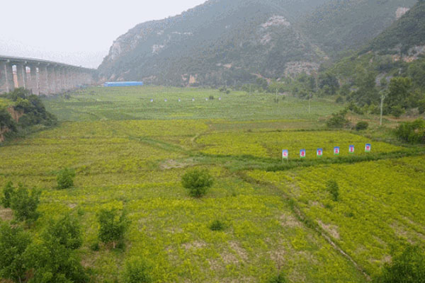 304am永利集团,304am永利集团道地药材 304am永利集团,304am永利集团道地药材