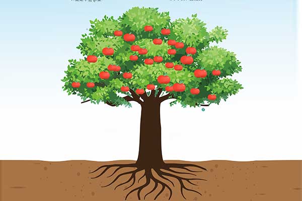 304am�������š�(�й�)���޹�˾����