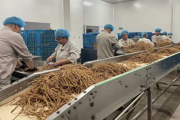 304am�������š�(�й�)���޹�˾����