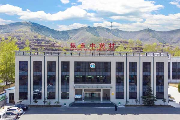 304am永利集团中药材 304am永利集团中药材