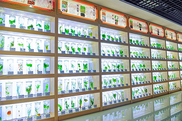 304amÓÀÀû¼¯ÍſƼ¼ÖÐÐÄÖÐÒ©±ê±¾ 304amÓÀÀû¼¯ÍſƼ¼ÖÐÐÄÖÐÒ©±ê±¾