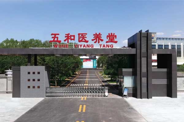 304amÓÀÀû¼¯ÍÅÎåºÍÒ½ÑøÌà 304amÓÀÀû¼¯ÍÅÎåºÍÒ½ÑøÌÃ