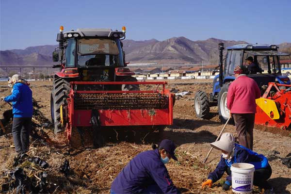 304am,304am,,ҩ,ҩĹҵ