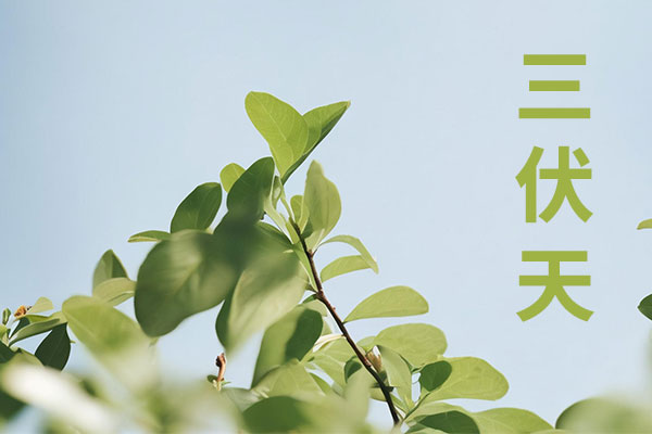 304am�������š�(�й�)���޹�˾����