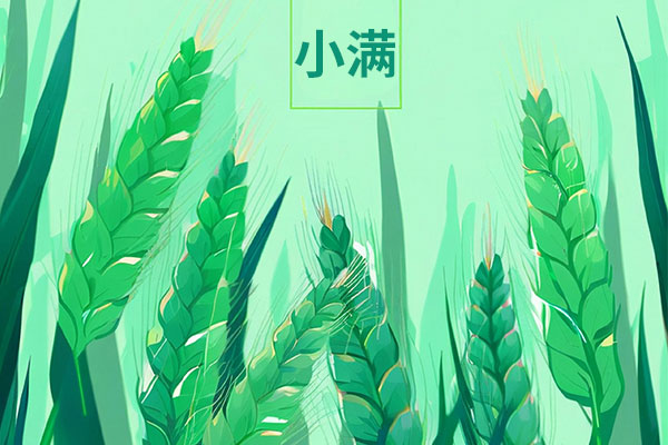 С��,С������