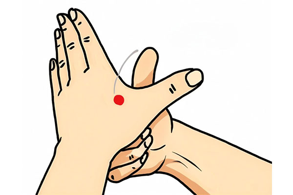 304am�������š�(�й�)���޹�˾����