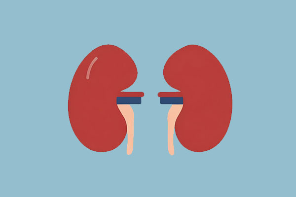 304am�������š�(�й�)���޹�˾����